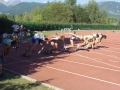 P01149 Partenza 100m.jpg