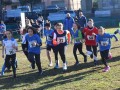 2024-12-15-Calvari-Regionali-Cross-Staffette-33