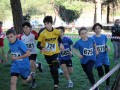 2024-01-27-Cross-di-Lavagna-23